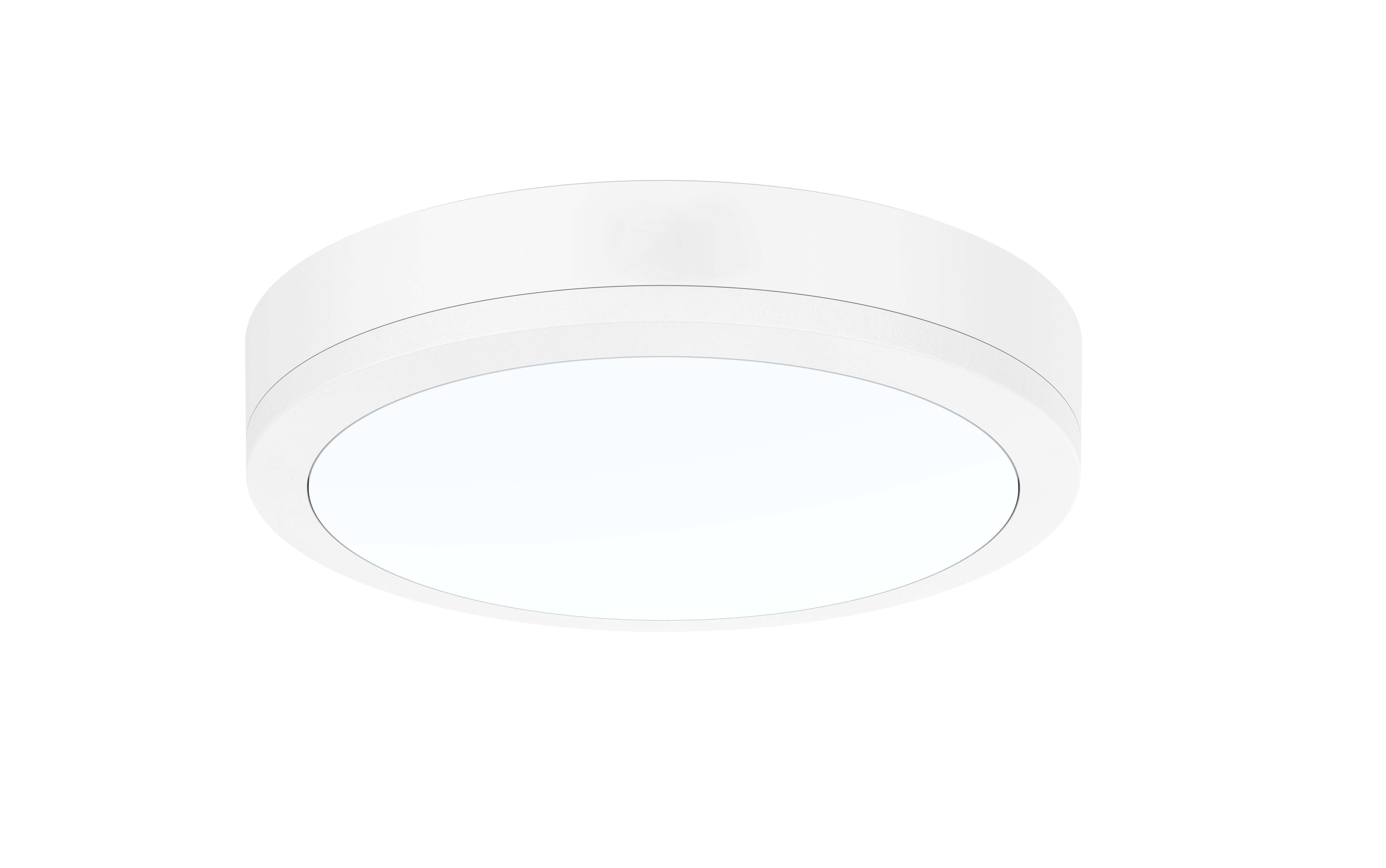 IP65 IK10 LED Bulkhead CCT 12W