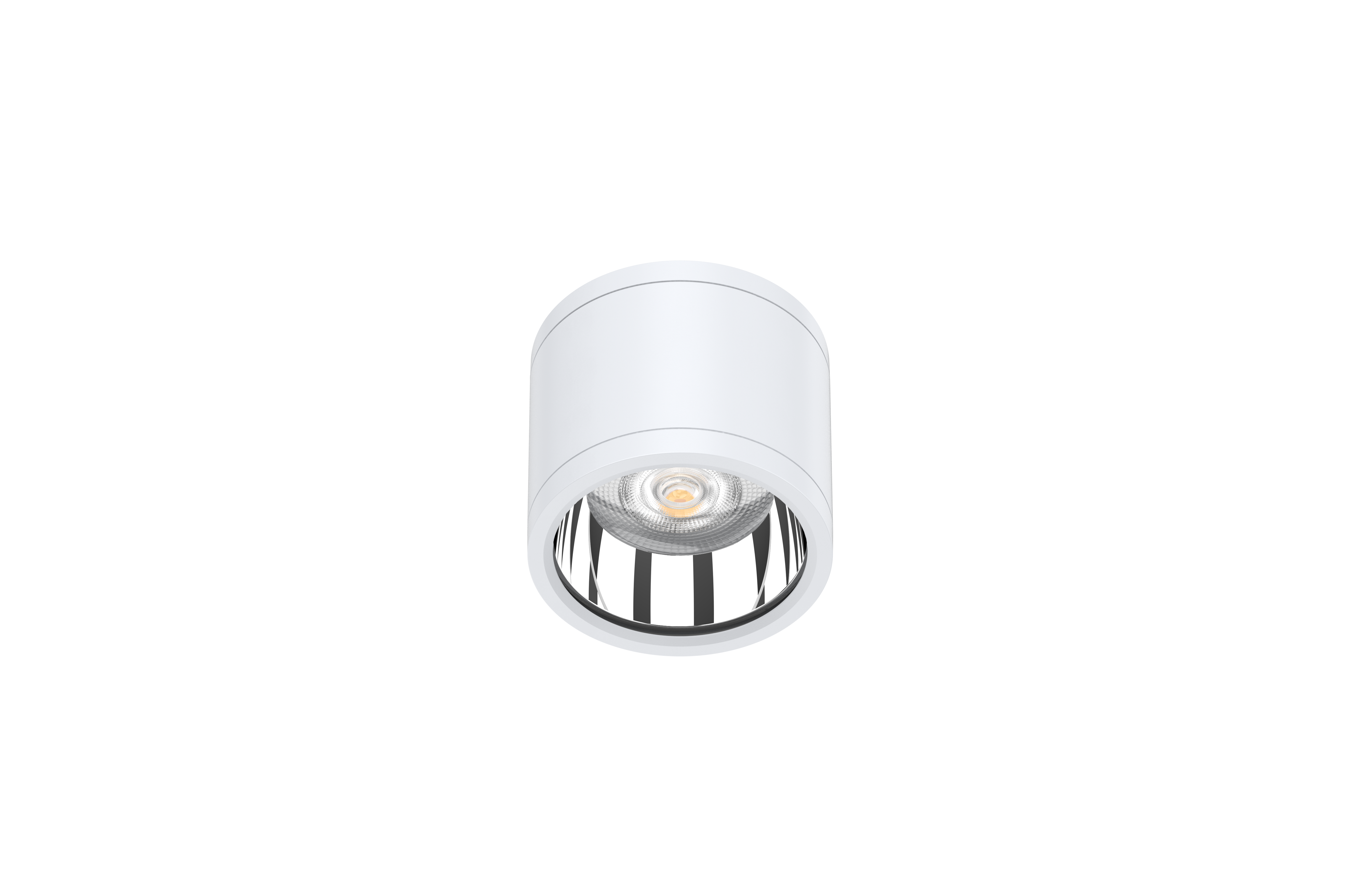 IP65 IK06 Surface mounted downlight CCT 10W