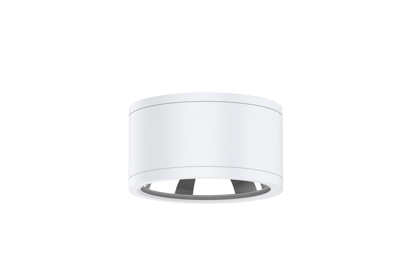 IP65 IK06 Surface mounted downlight CCT 25W