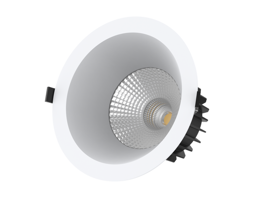 UGR19 COB LED Downlight 35W with flex cable & plug