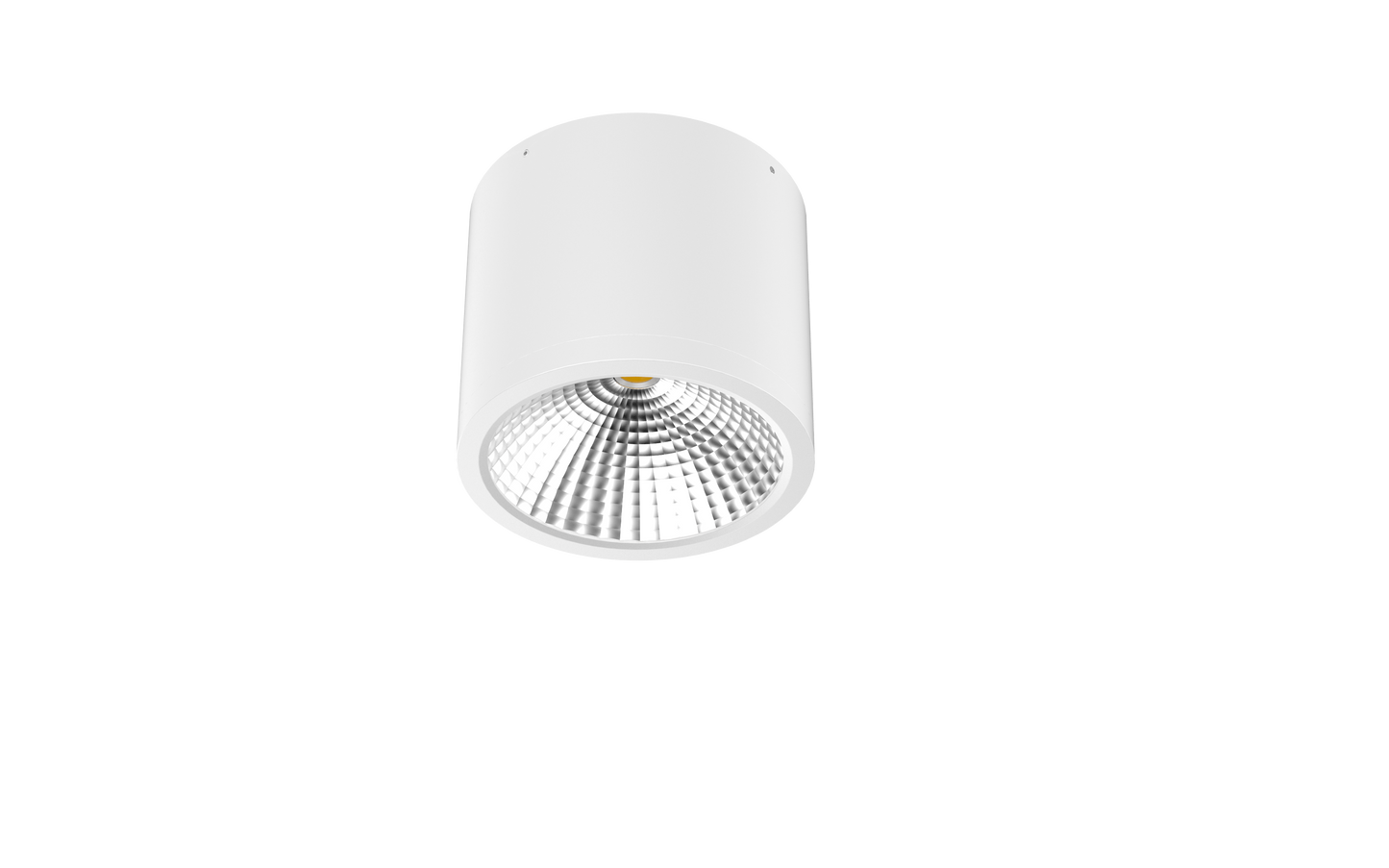 Surface mounted downlight 25W